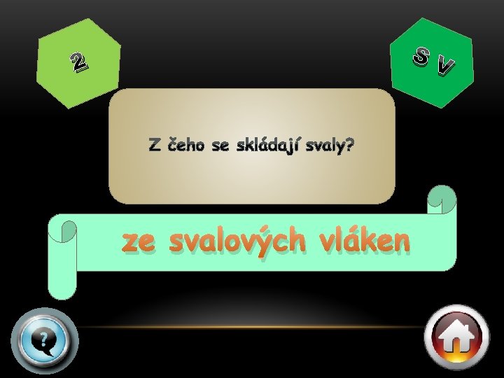 2 SV ze svalových vláken 