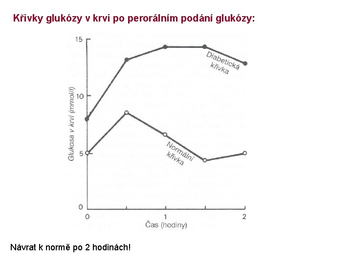 Křivky glukózy v krvi po perorálním podání glukózy: Návrat k normě po 2 hodinách!