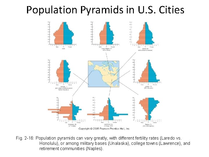 Population Pyramids in U. S. Cities Fig. 2 -16: Population pyramids can vary greatly,