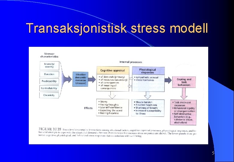 Transaksjonistisk stress modell 5 