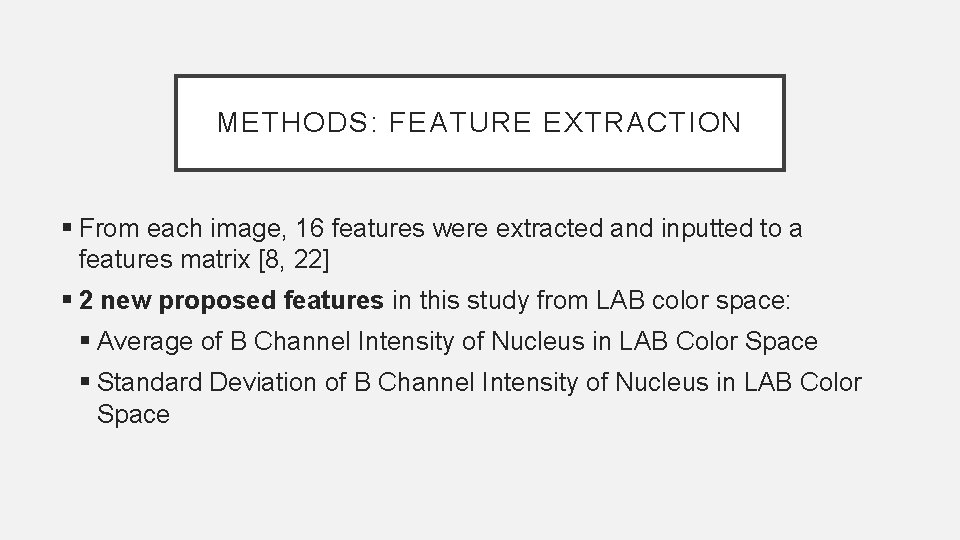Detection and Classification of Immature Leukocytes for Diagnosis