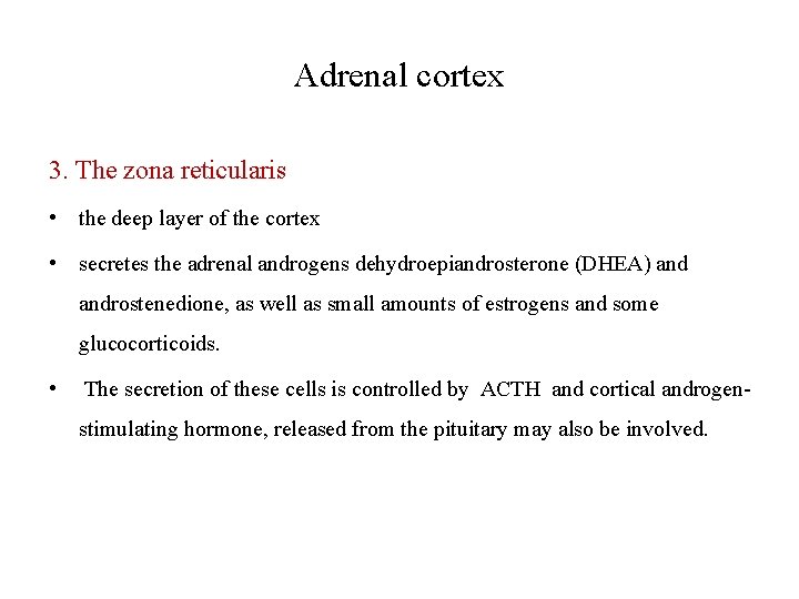 Adrenal cortex 3. The zona reticularis • the deep layer of the cortex •