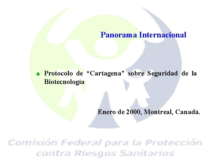 Panorama Internacional ♣ Protocolo de “Cartagena” sobre Seguridad de la Biotecnología Enero de 2000,