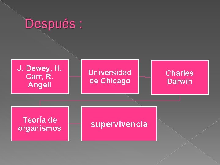 Después : J. Dewey, H. Carr, R. Angell Teoría de organismos Universidad de Chicago