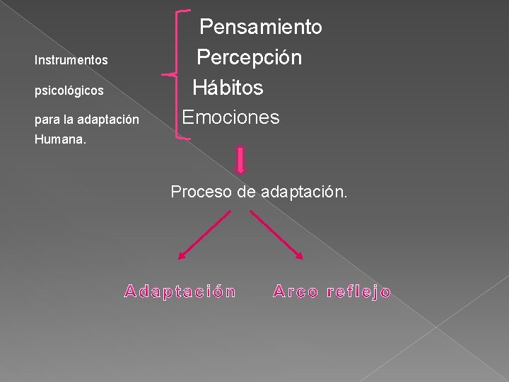 Instrumentos psicológicos para la adaptación Pensamiento Percepción Hábitos Emociones Humana. Proceso de adaptación. 