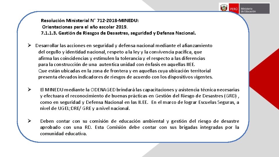 Resolución Ministerial N° 712 -2018 -MINEDU: Orientaciones para el año escolar 2019. 7. 1.