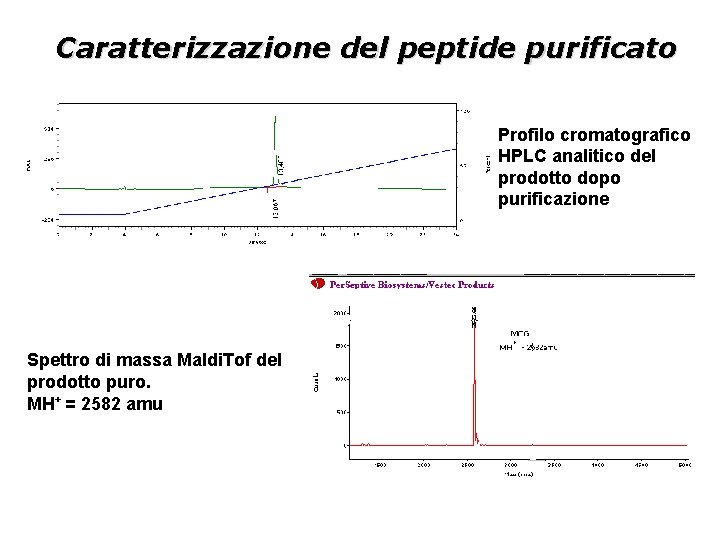 Caratterizzazione del peptide purificato Profilo cromatografico HPLC analitico del prodotto dopo purificazione Spettro di
