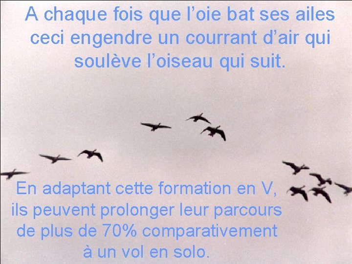 A chaque fois que l’oie bat ses ailes ceci engendre un courrant d’air qui