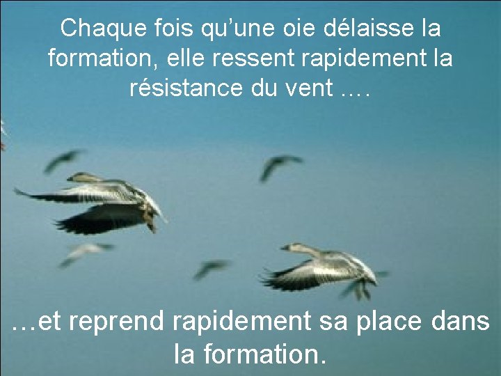 Chaque fois qu’une oie délaisse la formation, elle ressent rapidement la résistance du vent