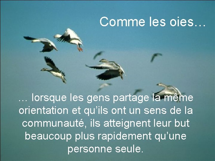 Comme les oies… … lorsque les gens partage la même orientation et qu’ils ont