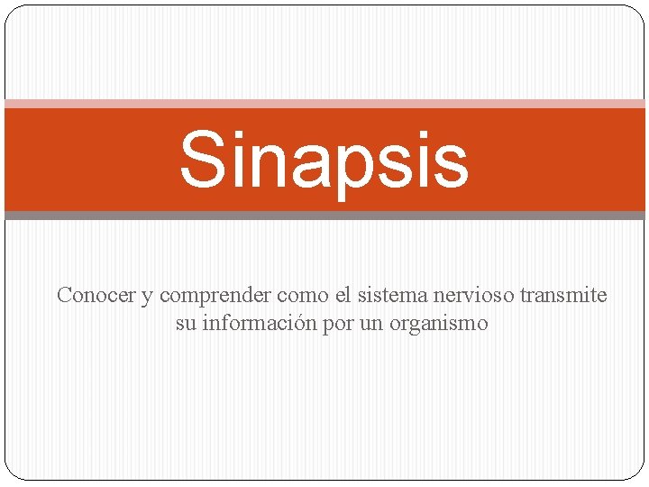 Sinapsis Conocer y comprender como el sistema nervioso transmite su información por un organismo