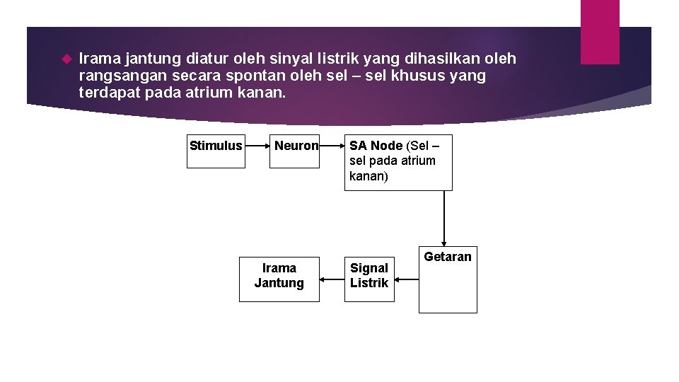  Irama jantung diatur oleh sinyal listrik yang dihasilkan oleh rangsangan secara spontan oleh