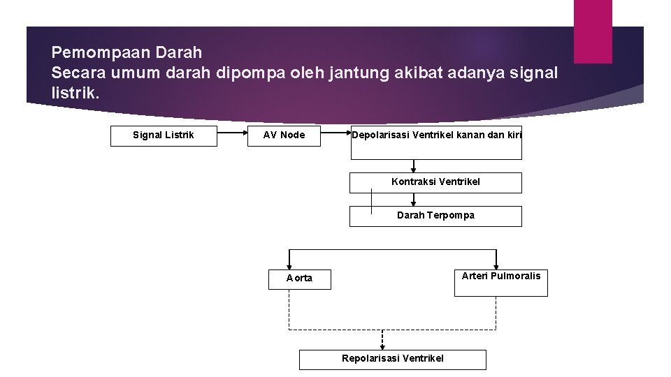 Pemompaan Darah Secara umum darah dipompa oleh jantung akibat adanya signal listrik. Signal Listrik