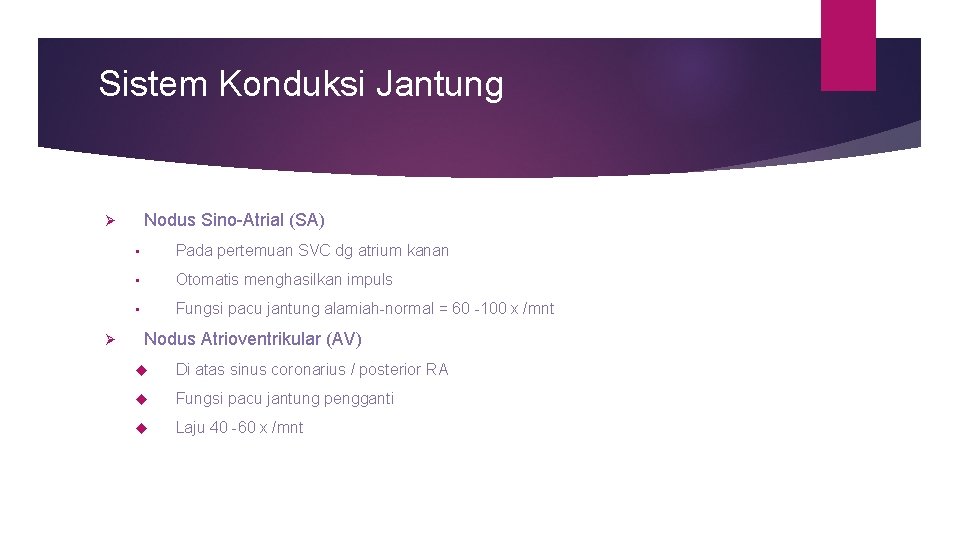 Sistem Konduksi Jantung Nodus Sino-Atrial (SA) Ø Ø • Pada pertemuan SVC dg atrium Sistem Konduksi Jantung Nodus Sino-Atrial (SA) Ø Ø • Pada pertemuan SVC dg atrium