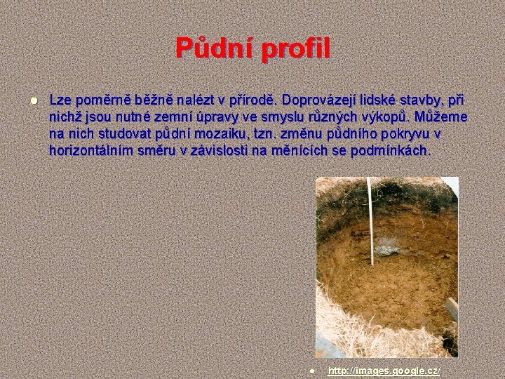 Půdní profil l Lze poměrně běžně nalézt v přírodě. Doprovázejí lidské stavby, při nichž