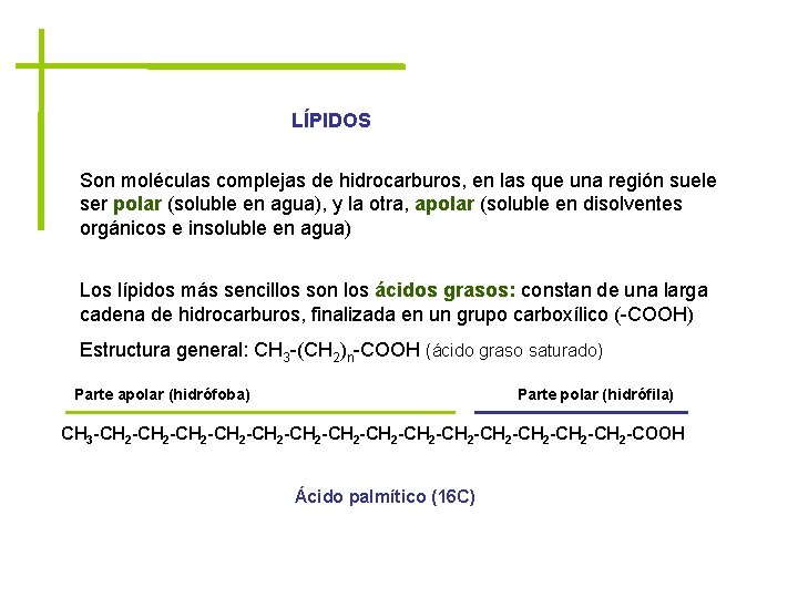 LÍPIDOS Son moléculas complejas de hidrocarburos, en las que una región suele ser polar