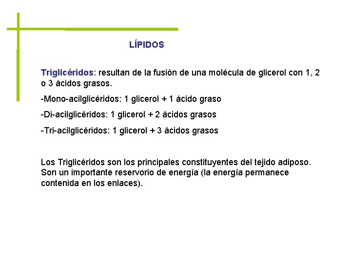 LÍPIDOS Triglicéridos: resultan de la fusión de una molécula de glicerol con 1, 2