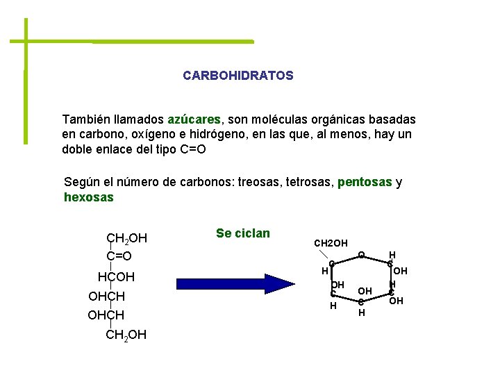 CARBOHIDRATOS También llamados azúcares, son moléculas orgánicas basadas en carbono, oxígeno e hidrógeno, en