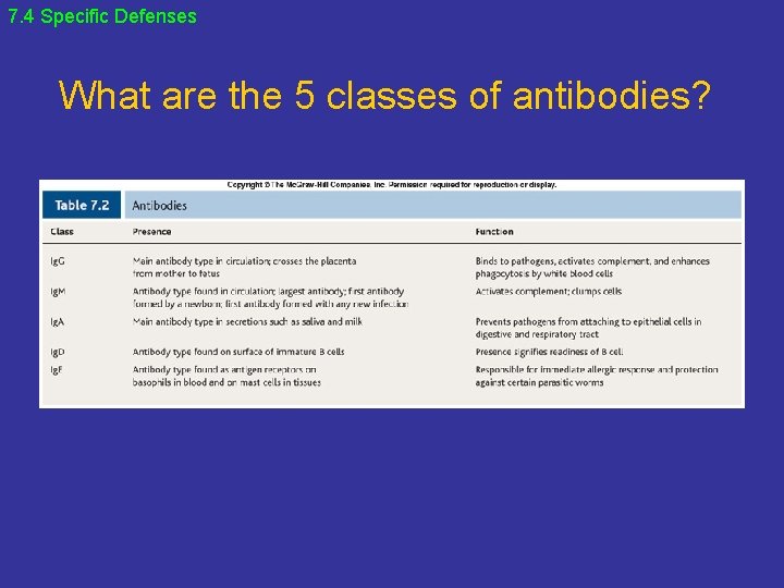 7. 4 Specific Defenses What are the 5 classes of antibodies? 