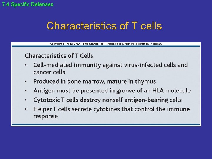 7. 4 Specific Defenses Characteristics of T cells 