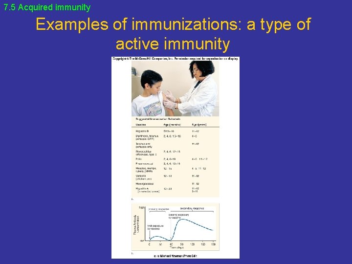 7. 5 Acquired immunity Examples of immunizations: a type of active immunity 