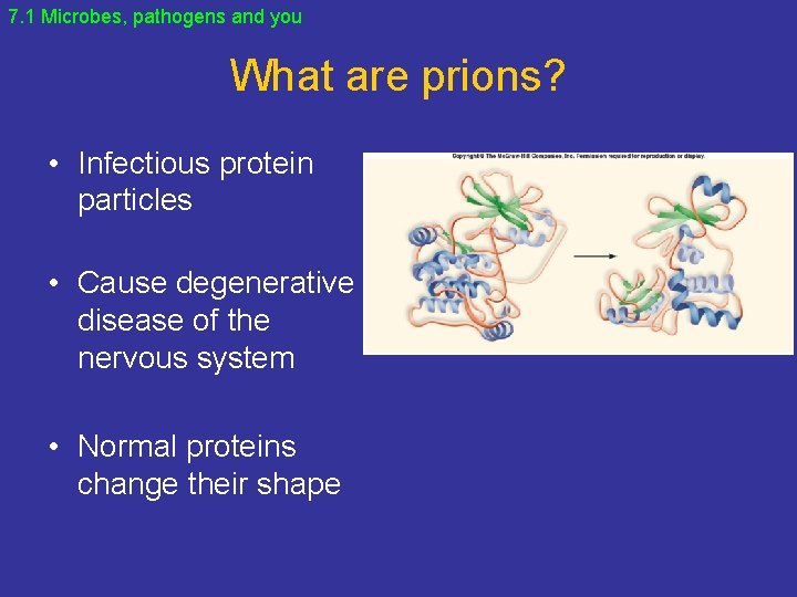 7. 1 Microbes, pathogens and you What are prions? • Infectious protein particles •