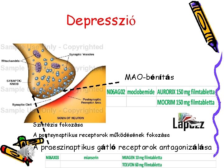 Depresszió MAO-bénítás Szintézis fokozása A postsynaptikus receptorok működésének fokozása A praeszinaptikus gátló receptorok antagonizálása