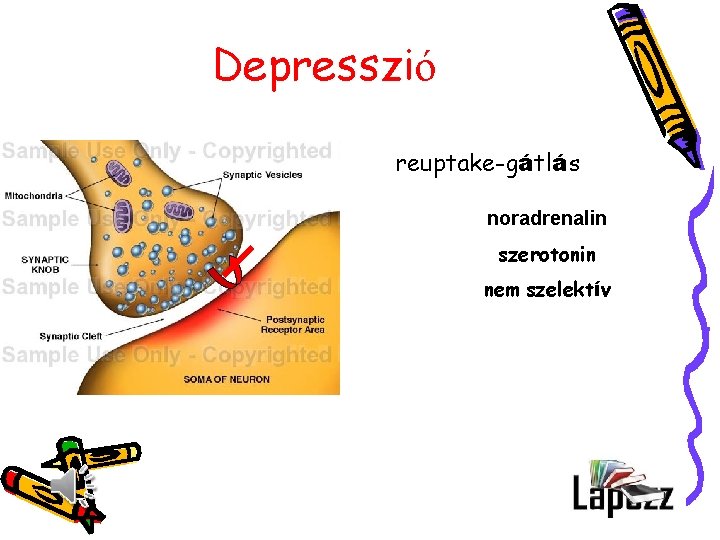 Depresszió reuptake-gátlás noradrenalin szerotonin nem szelektív 