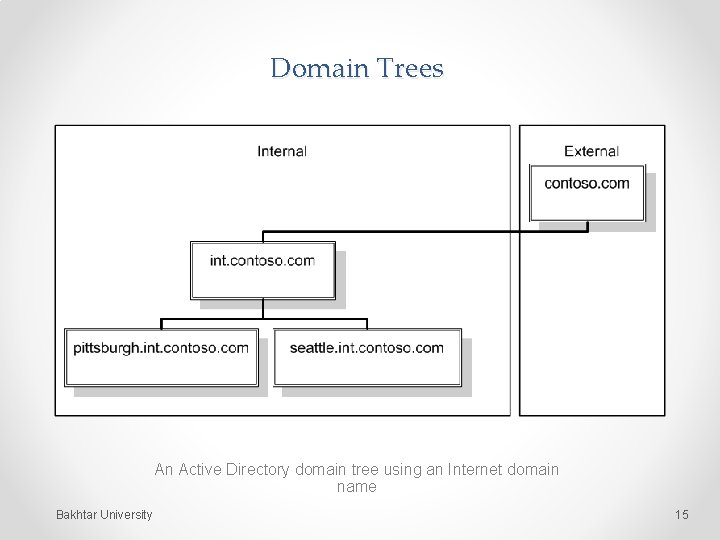 Domain Trees An Active Directory domain tree using an Internet domain name Bakhtar University