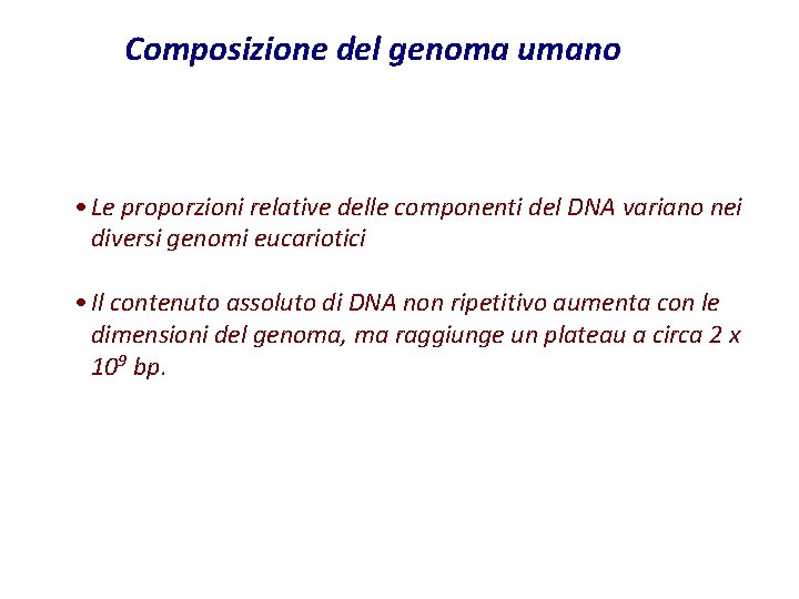 Composizione del genoma umano • Le proporzioni relative delle componenti del DNA variano nei