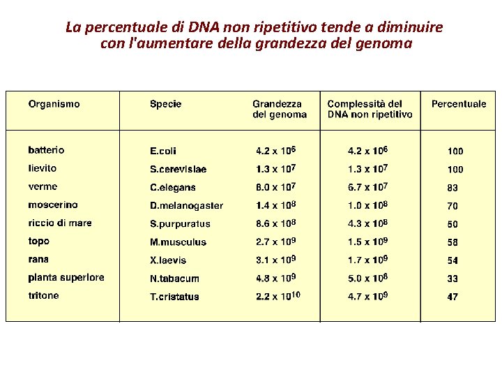La percentuale di DNA non ripetitivo tende a diminuire con l'aumentare della grandezza del