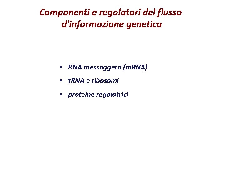 Componenti e regolatori del flusso d'informazione genetica • RNA messaggero (m. RNA) • t.