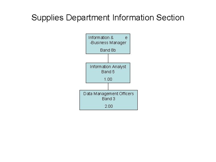 Supplies Department Information Section Information & e -Business Manager Band 8 b Information Analyst