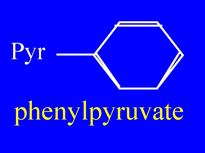 Pyr phenylpyruvate 