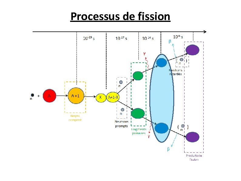 Processus de fission 