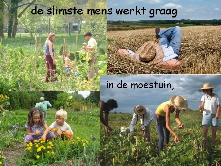 de slimste mens werkt graag in de moestuin, 