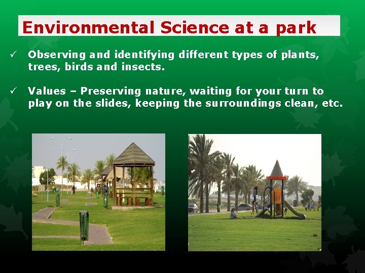 Environmental Science at a park ü Observing and identifying different types of plants, trees,
