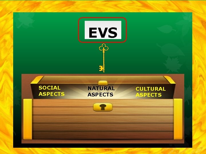 EVS SOCIAL ASPECTS NATURAL ASPECTS CULTURAL ASPECTS 