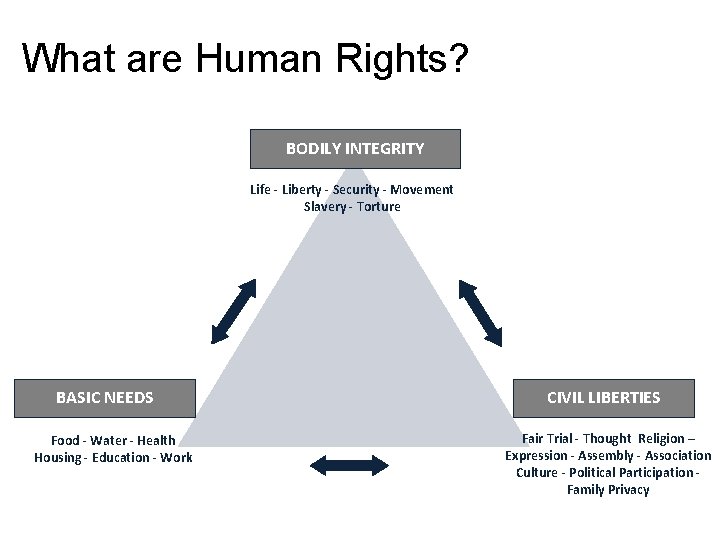 Bodily Rights Human Rights Business in Kenya Agenda 1 What