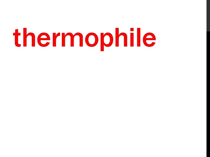 thermophile 