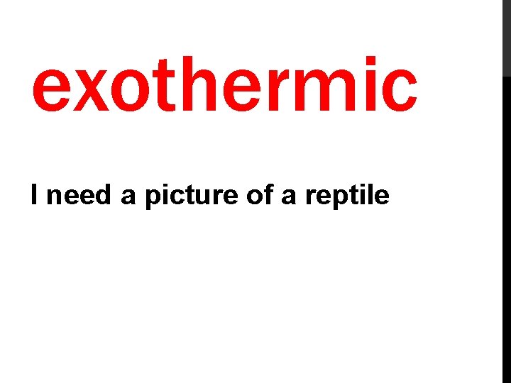 exothermic I need a picture of a reptile 
