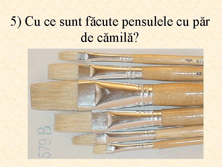 5) Cu ce sunt făcute pensulele cu păr de cămilă? 