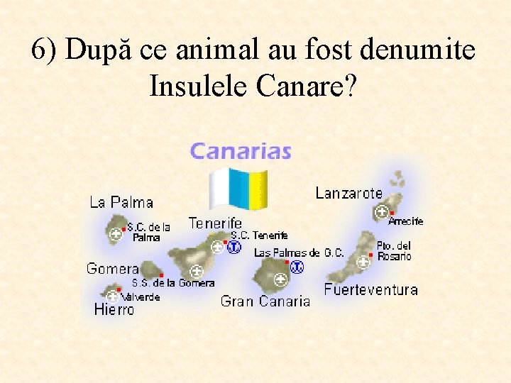 6) După ce animal au fost denumite Insulele Canare? 