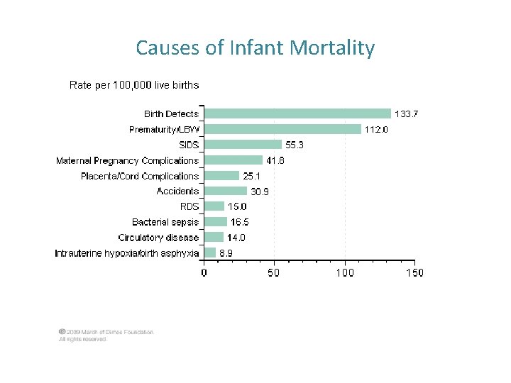 Causes of Infant Mortality 