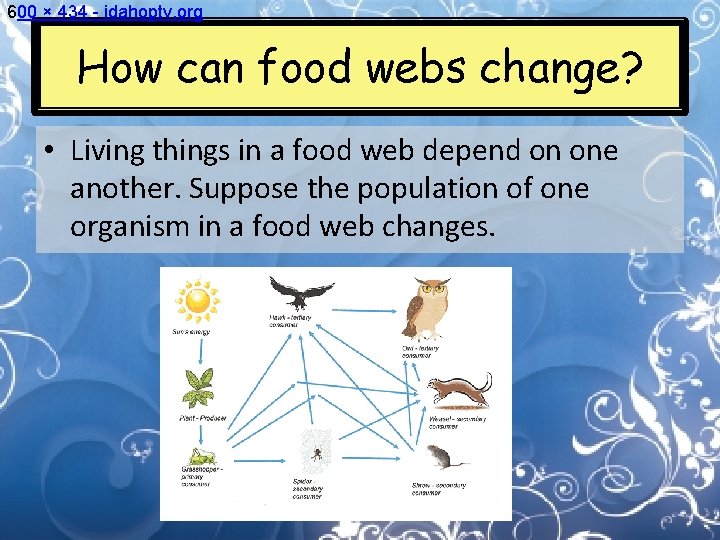 How can food webs change Unit Standards 5