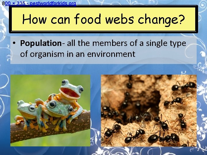 How can food webs change Unit Standards 5