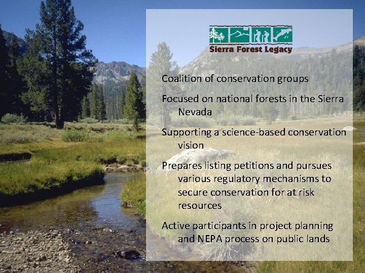 Coalition of conservation groups Focused on national forests in the Sierra Nevada Supporting a