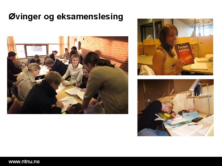 Øvinger og eksamenslesing www. ntnu. no 