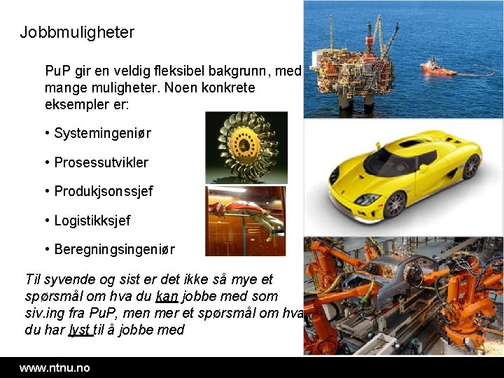 Jobbmuligheter Pu. P gir en veldig fleksibel bakgrunn, med mange muligheter. Noen konkrete eksempler