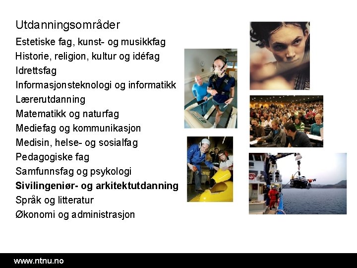 Utdanningsområder Estetiske fag, kunst- og musikkfag Historie, religion, kultur og idéfag Idrettsfag Informasjonsteknologi og